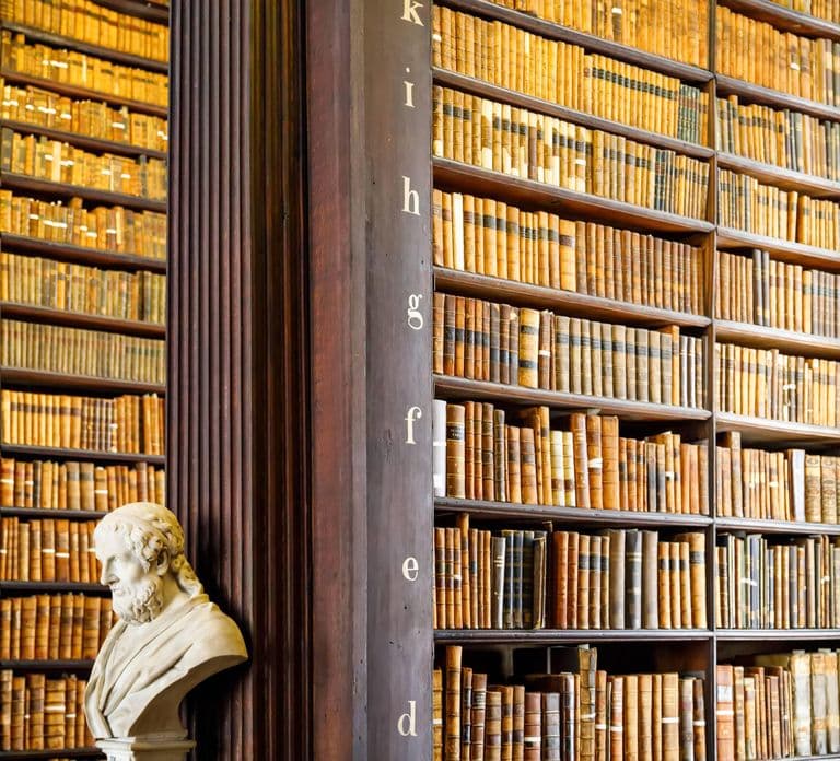 Dublin City Walking Tour, Wikinger, St. Patrick, Highlights