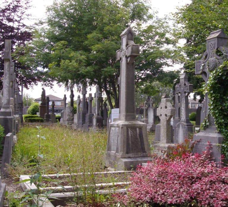 Dublin Glasnevin National Cemetery Audio Tour with Transfers