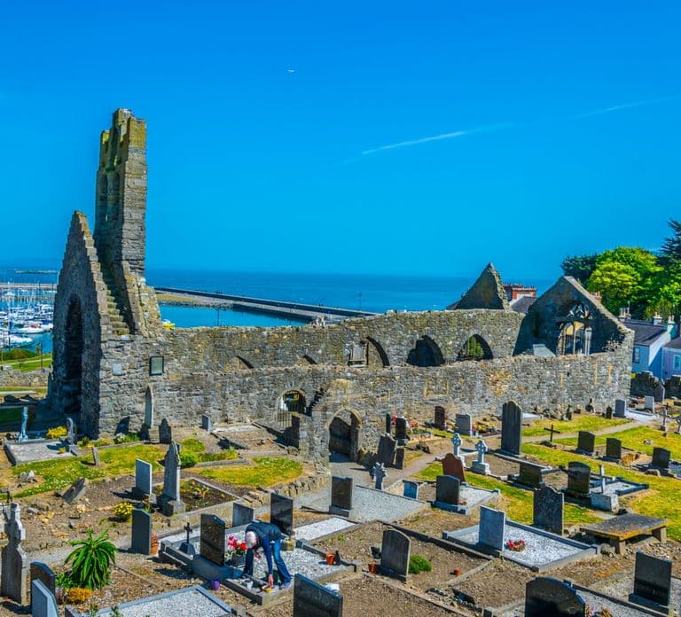 Escursione guidata di mezza giornata da Dublino a Howth in auto o traghetto