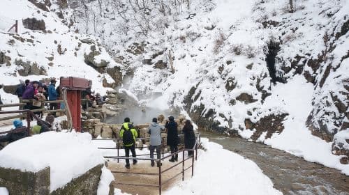 Excursion d'une journée : Snow Monkeys, temple Zenko-ji et dégustation de saké à Nagano