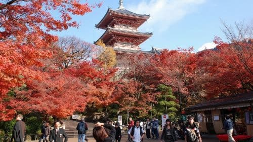 1-day tour from Nagoya to Hida Takayama and Shirakawa-go with ancient street walk and Hida beef experience Day Tours