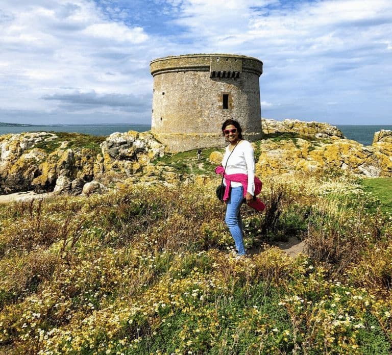 Dublin: Veerboot van Howth naar het eiland Ireland's Eye
