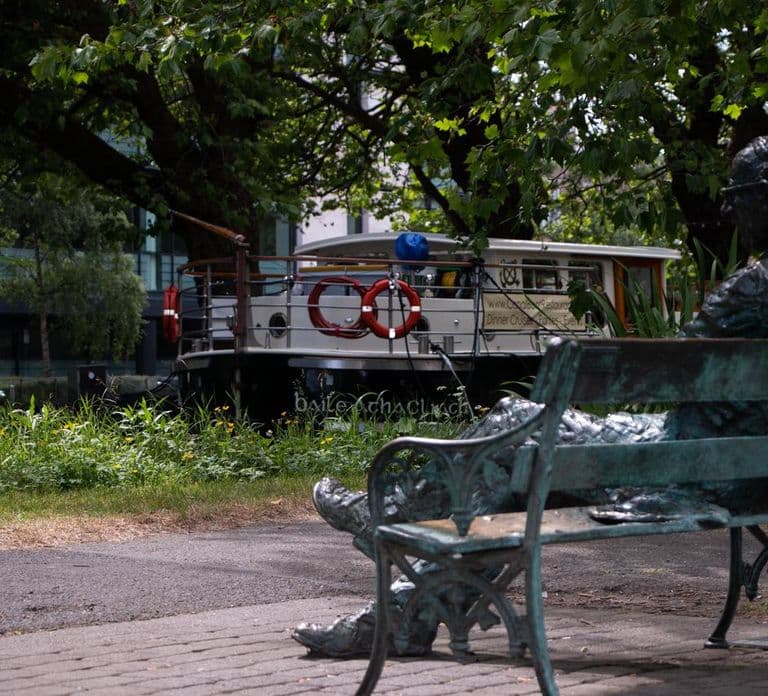 Dublin: Grand Canal Cruise mit Abendessen