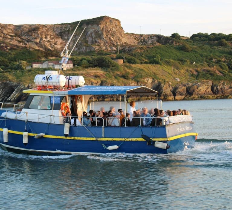 Dublin: Rejs łodzią wzdłuż klifów Howth i wyspy Ireland's Eye