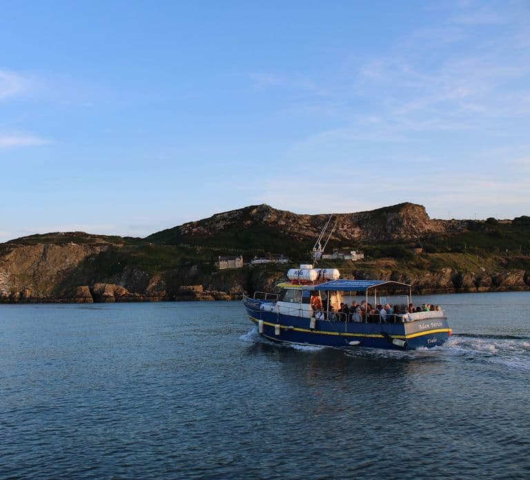 Dublin: Howth Cliffs and Lighthouse Cruise