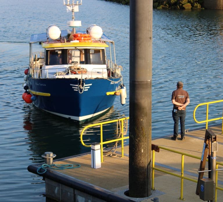 Dublin: Rejs wzdłuż klifów Howth i do latarni morskiej