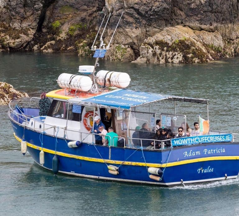 Dublin: Howth Cliffs and Lighthouse Cruise