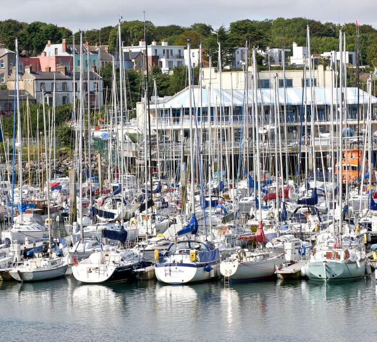 Dublin: Wandeltocht door Howth met lokale gids