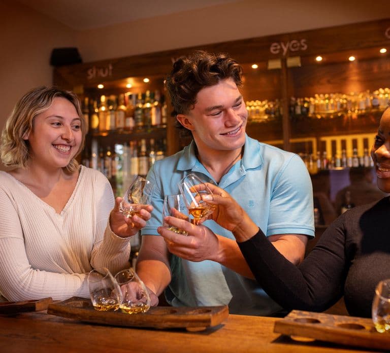 Dublin: Irish Whiskey Museum Classic Tour+City Sightseeing