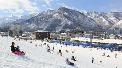 Tour di 1 giorno da Tokyo all'Iwappara Ski Resort a Yuzawa per giocare sulla neve e sciare, con pacchetto istruttore opzionale