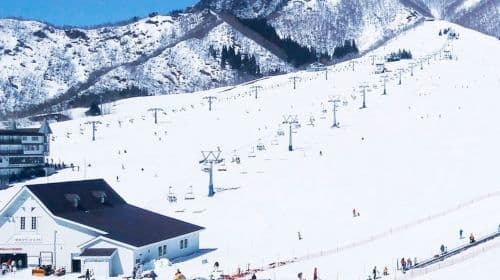 Tour di 1 giorno da Tokyo all'Iwappara Ski Resort a Yuzawa per giocare sulla neve e sciare, con pacchetto istruttore opzionale
