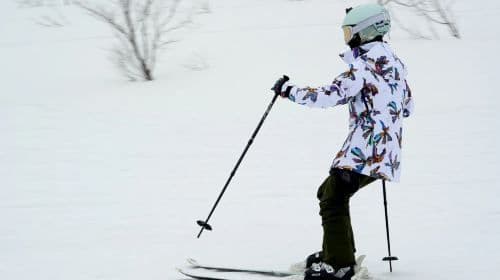 Tokyo에서 출발하는 Iwappara Ski Resort 당일치기 투어: Yuzawa에서 즐기는 눈놀이 & 스키 (강습 옵션 포함)