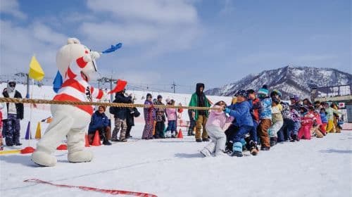 Tour di 1 giorno da Tokyo all'Iwappara Ski Resort a Yuzawa per giocare sulla neve e sciare, con pacchetto istruttore opzionale