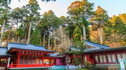 1-day tour in Hakone, Japan