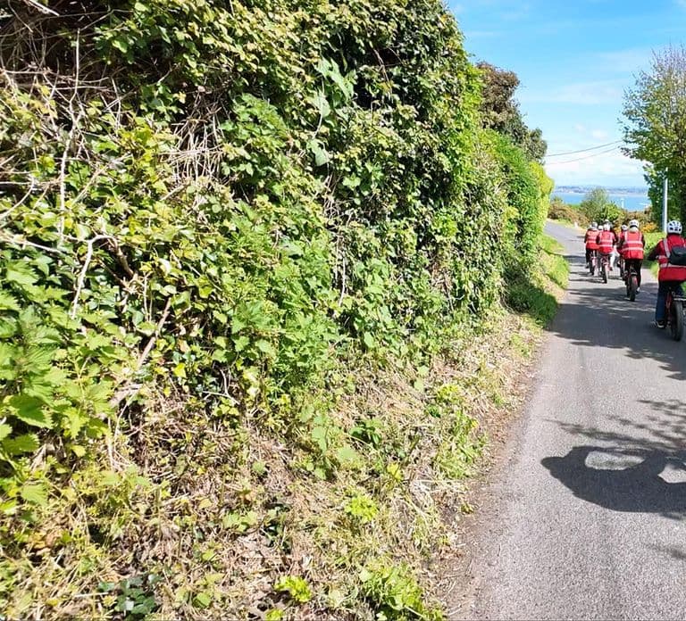 Dublin: Passeio Panorâmico de e-Bike