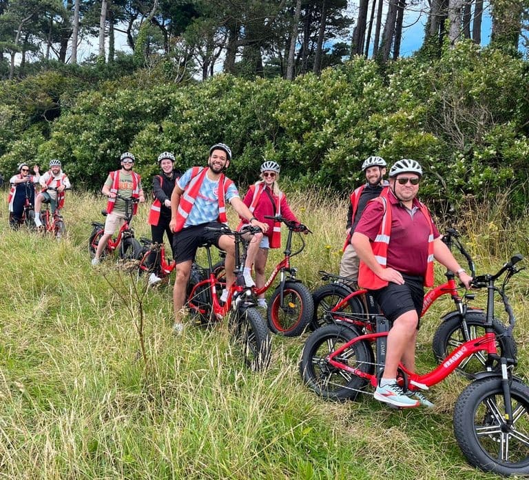 Dublin: Passeio Panorâmico de e-Bike