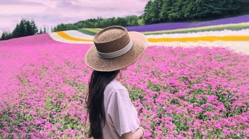 Jednodniowa wycieczka po Hokkaido