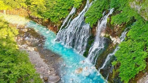 Excursion d'une journée à Hokkaido