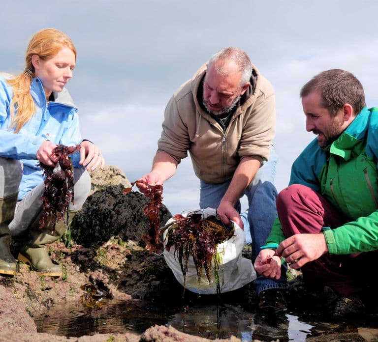 Tour gastronômico e cultural em Inishmore, Aran Islands. Privado