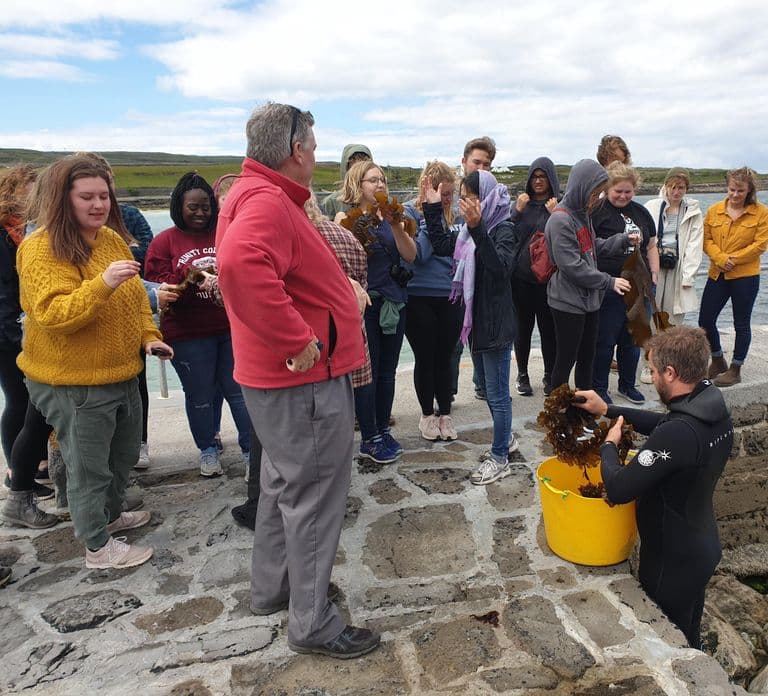 Culinaire proeverij & culturele tour Inishmore, Aran Islands. Privé