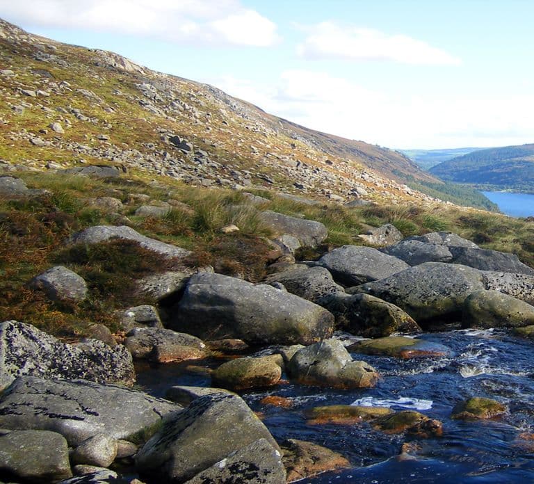 Da Dublino: Tour delle Wicklow Mountains, Glendalough e Kilkenny