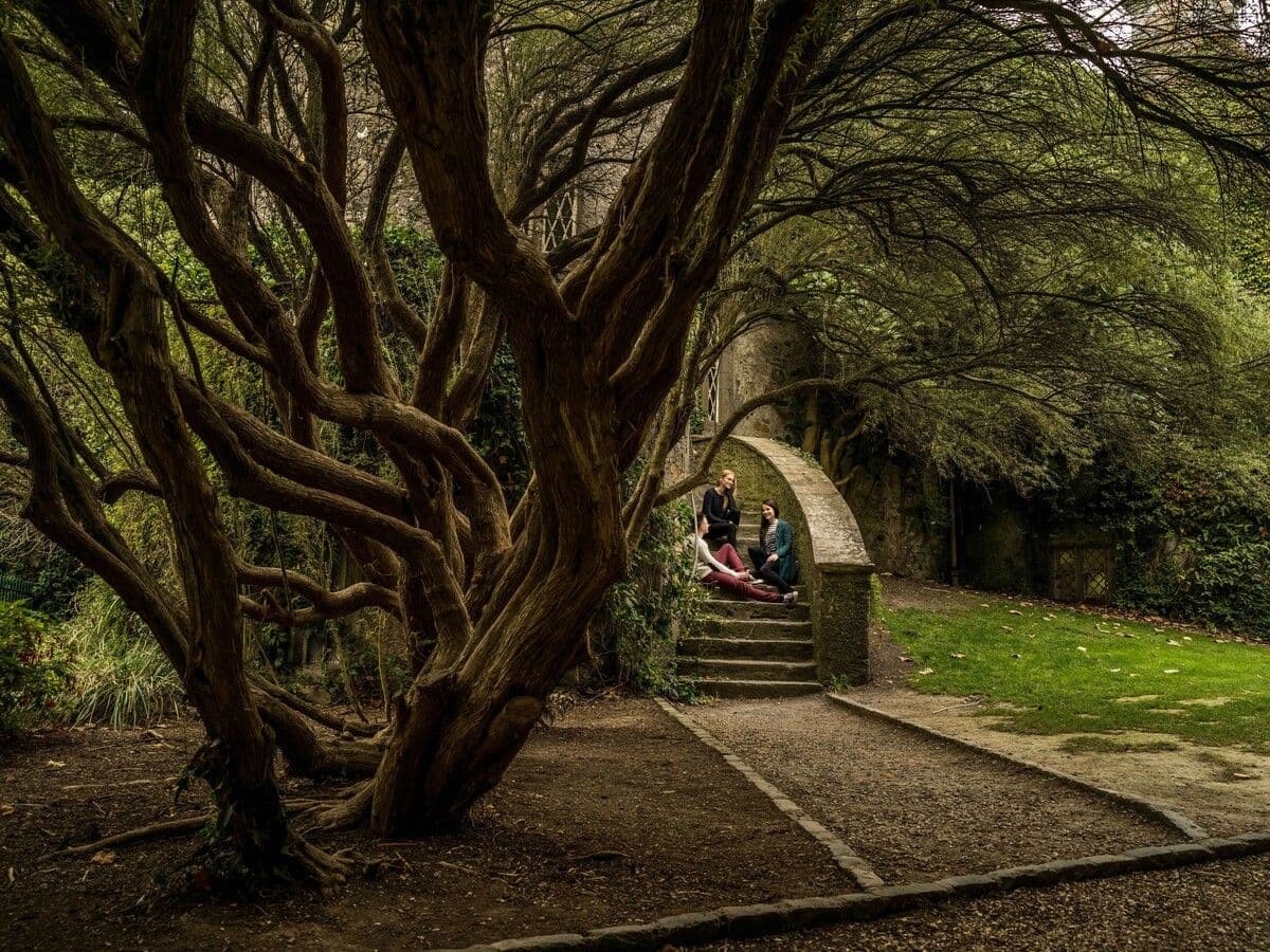 Go City: Dublin Explorer Pass