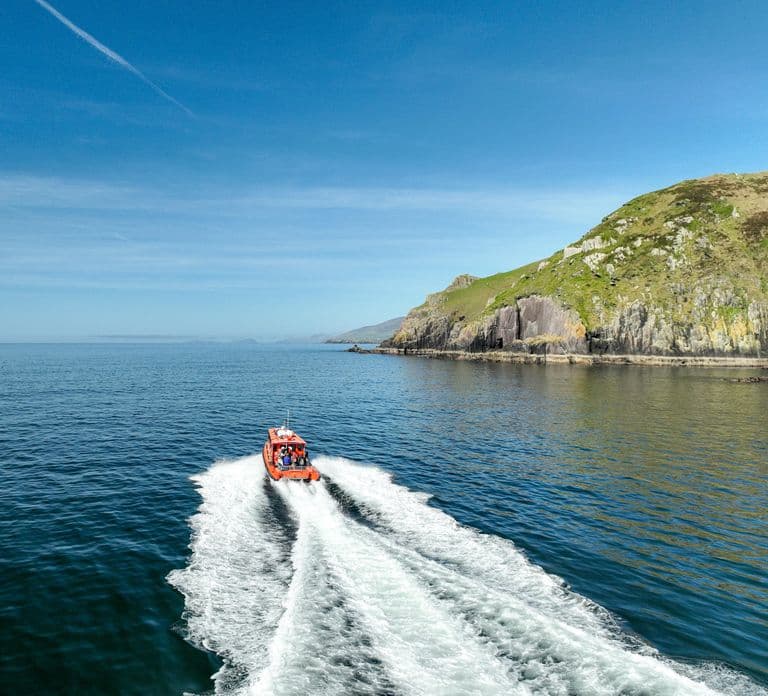 Great Blasket Island Wildlife Tour met landing op het eiland