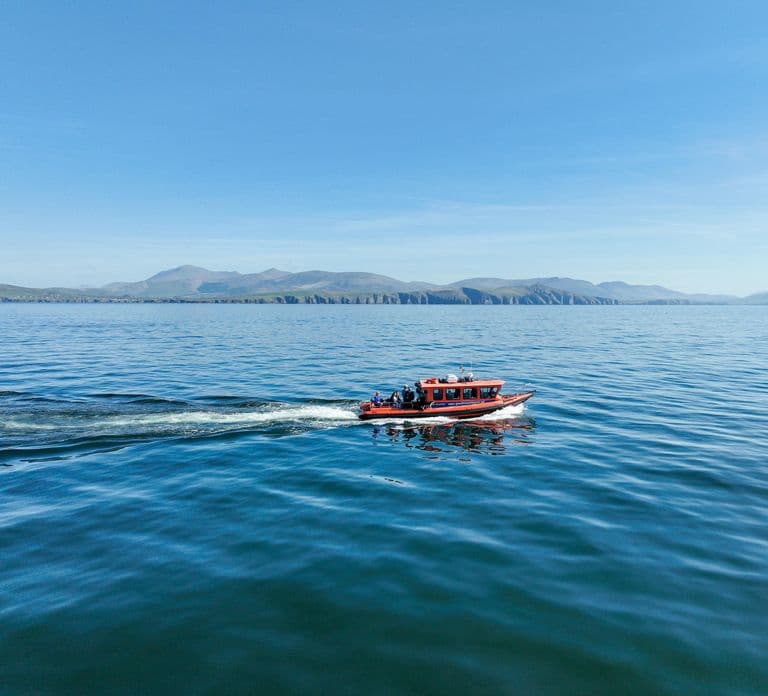 Great Blasket Island Wildlife Tour met landing op het eiland