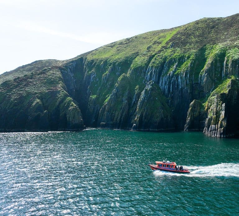 Great Blasket Island Wildlife Tour mit Insel-Landgang