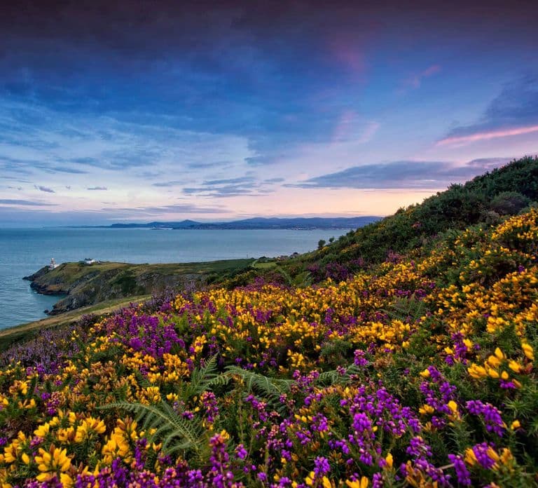 Howth Coastal Walk