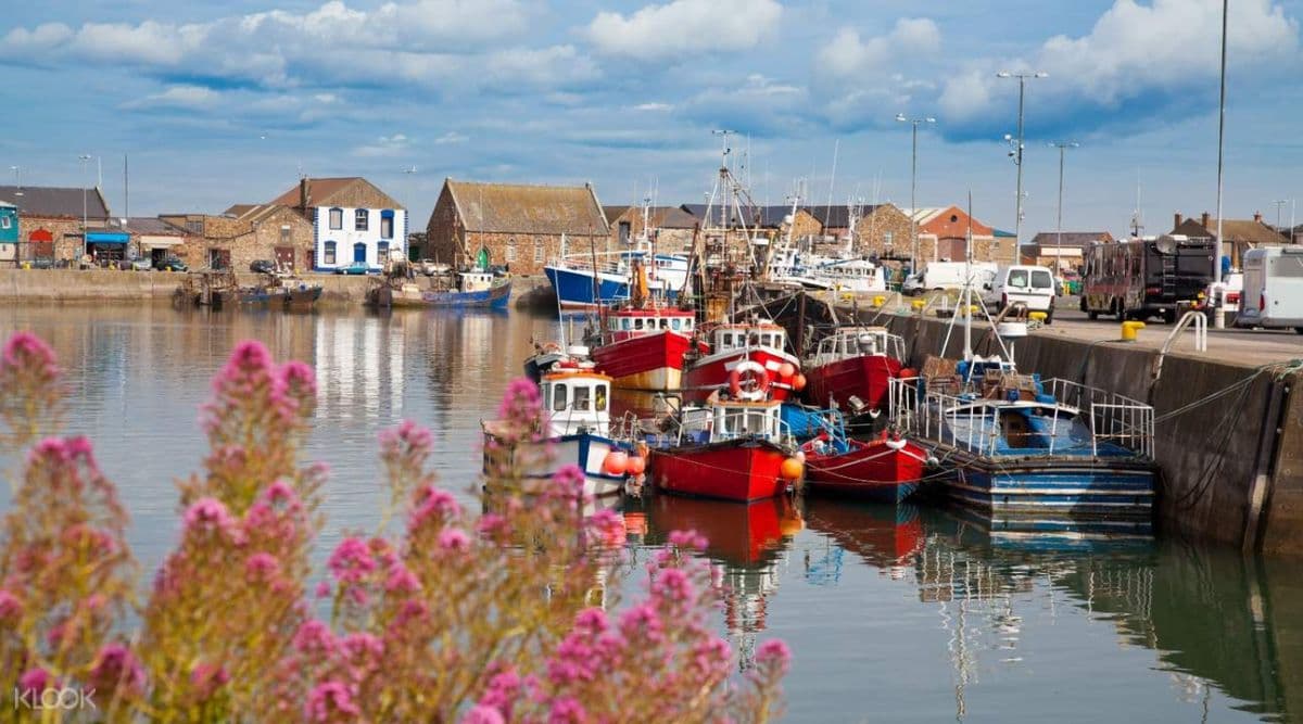 Excursión de medio día a Howth desde Dublín