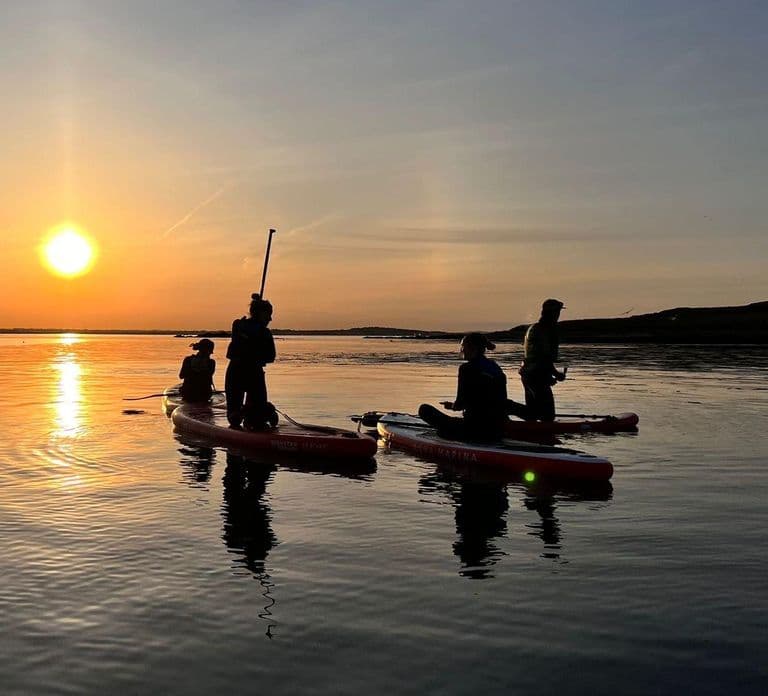Howth: Lezione di paddleboarding nel porto di Howth