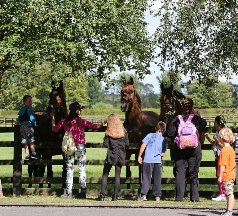 Kildare: Irish National Stud & Gardens