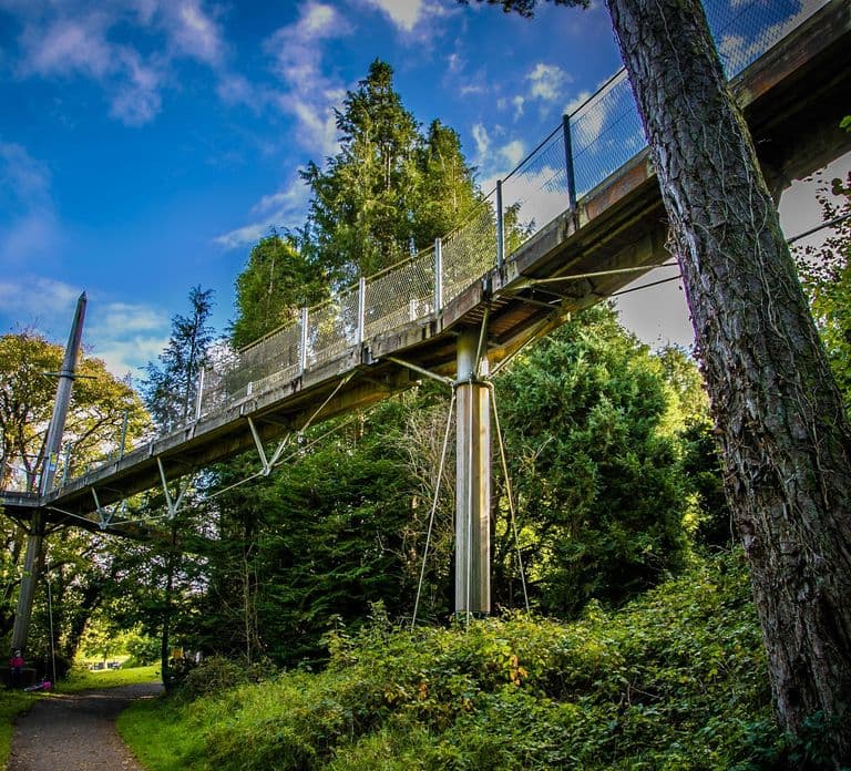 Lough Key Forest Park: Rockingham Remembered Tour