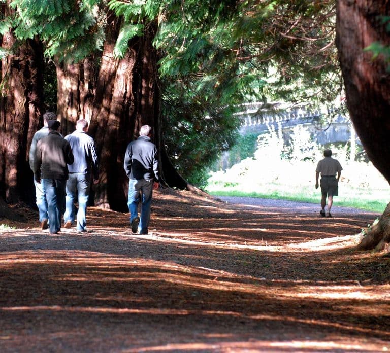 Lough Key Forest Park: Rockingham Remembered Tour