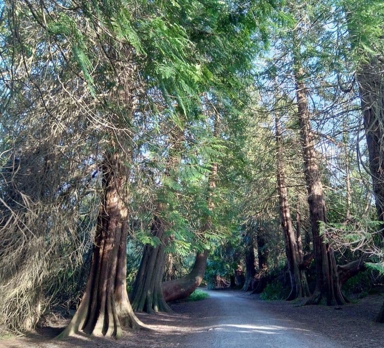 Lough Key Forest Park: Wycieczka Rockingham Remembered