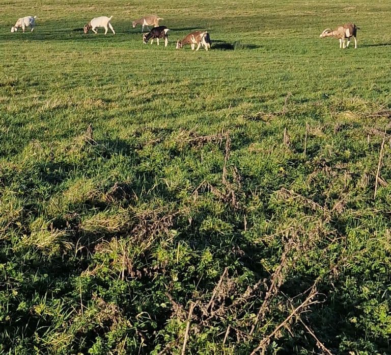 Biglietto d'ingresso per Murtagh's Organic Farm