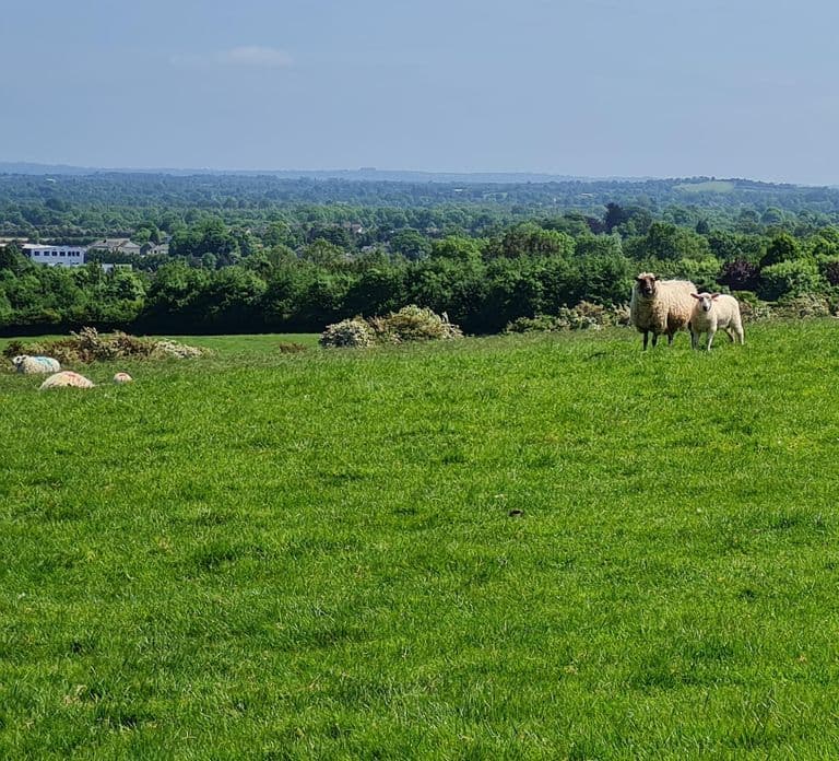 Newgrange Passage Tomb & Ancients Irish Sites.