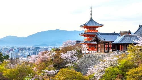 1-day tour of Kyoto's Arashiyama, Fushimi Inari Taisha, and Nara Park with Osaka/Kyoto pickup and drop-off Day Tours