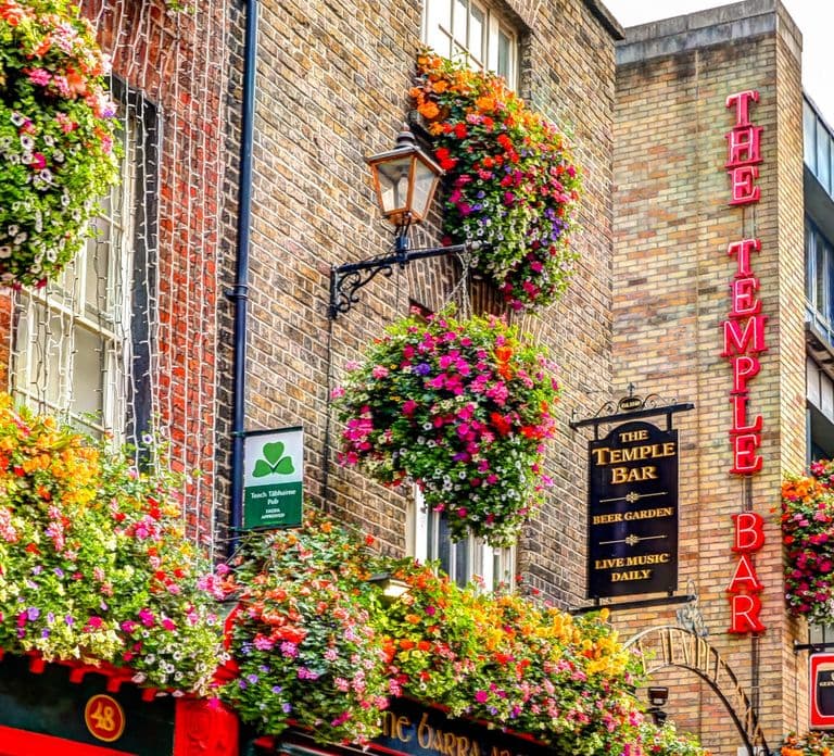 Degustação Privada de Cerveja Irlandesa e Tour pela Cidade Velha de Dublin