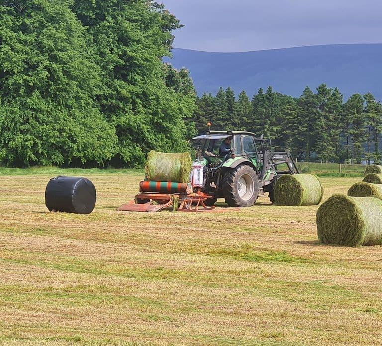 Private Tour - Co. Wicklow, Glendalough & Powerscourt Estate
