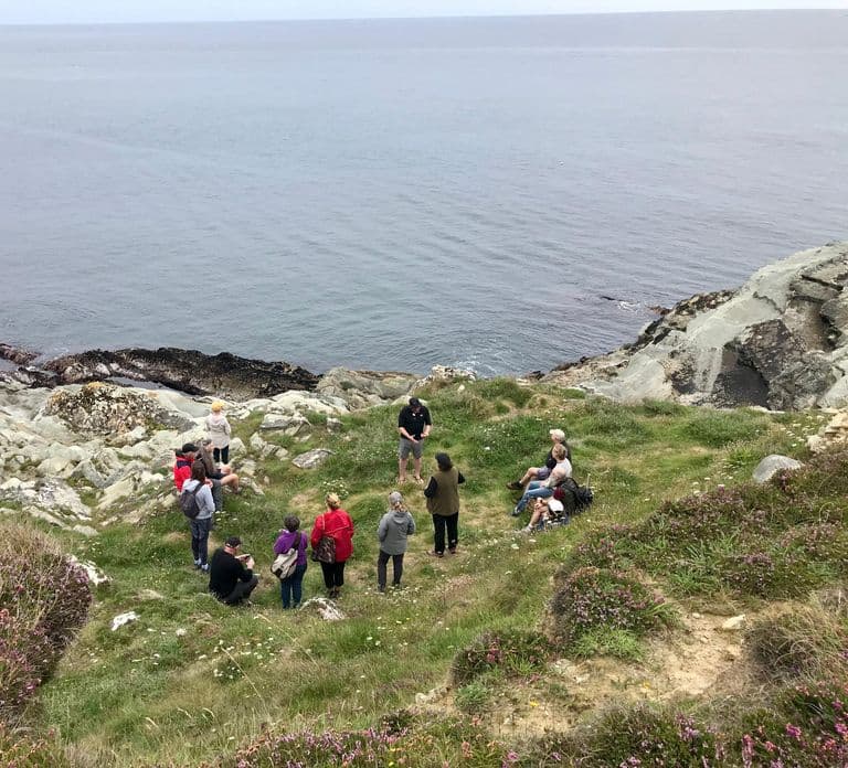 West Cork: Caminhada no Penhasco de Toe Head com Café e Biscoitos