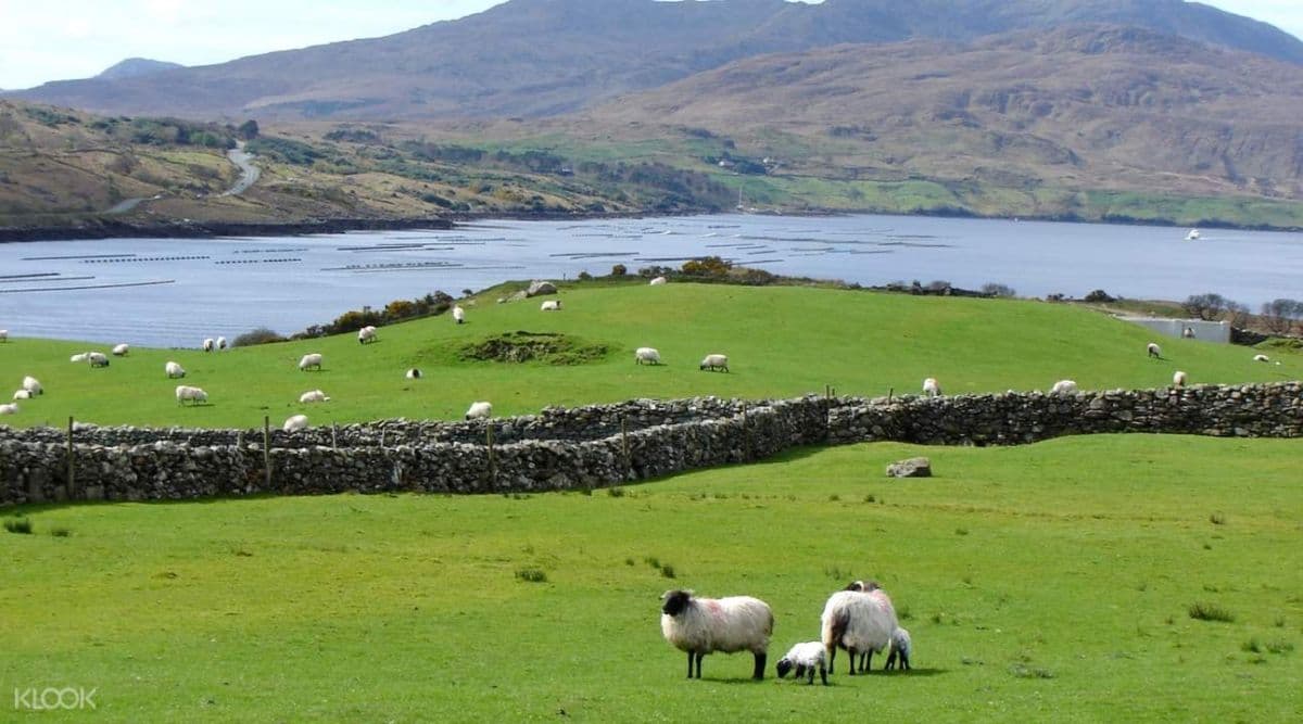 Wild Connemara Day Tour from Dublin