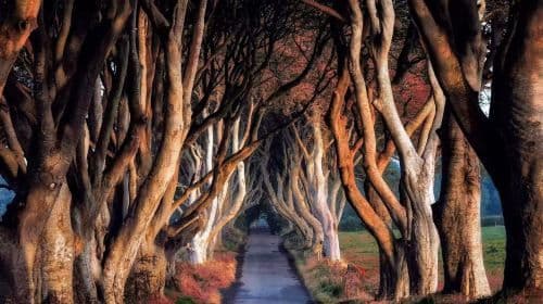 Belfast Game of Thrones Themed Day Tour (English Speaking Group)