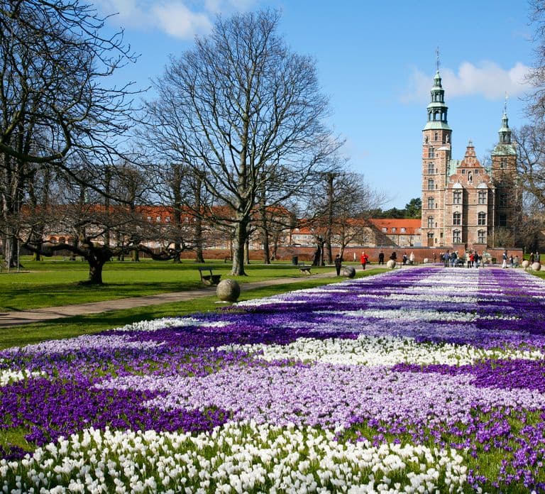 3-Hour Private Copenhagen Walking Tour