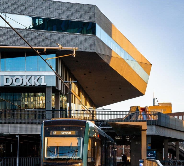 Aarhus City Highlights Private Tour