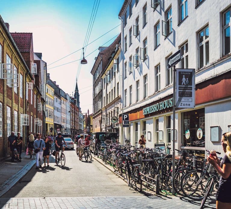 Copenhagen City & Rosenborg Castle Private Walking Tour