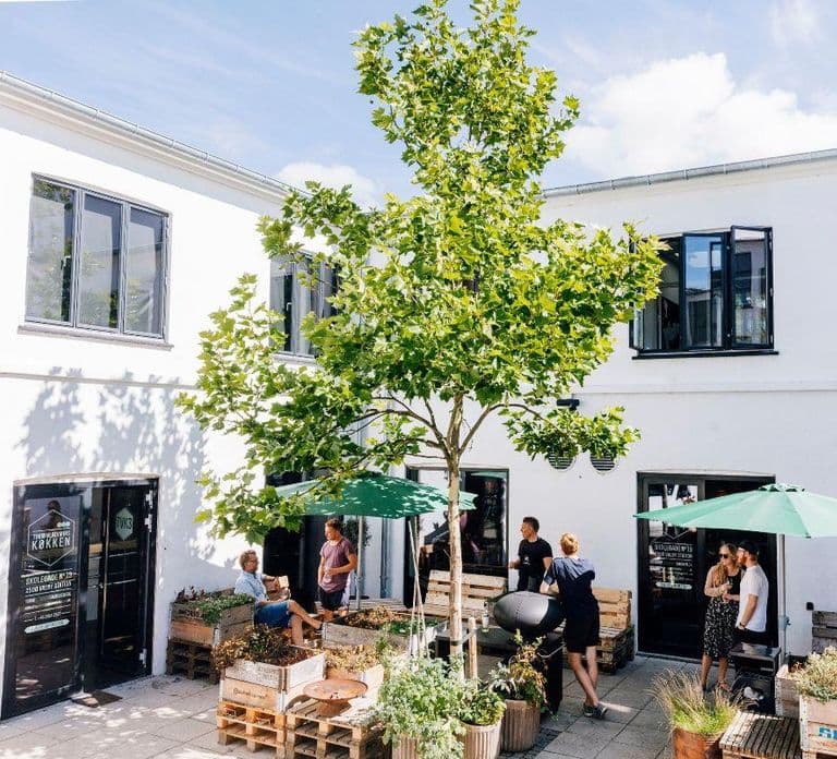 Clase de cocina en Copenhague: Clase de cocina nórdica con barra libre