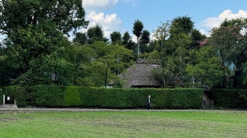 Kyoto: Passeggiata tra gli angoli nascosti di Arashiyama - Tour giornaliero