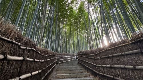 Kyoto: Passeggiata tra gli angoli nascosti di Arashiyama - Tour giornaliero